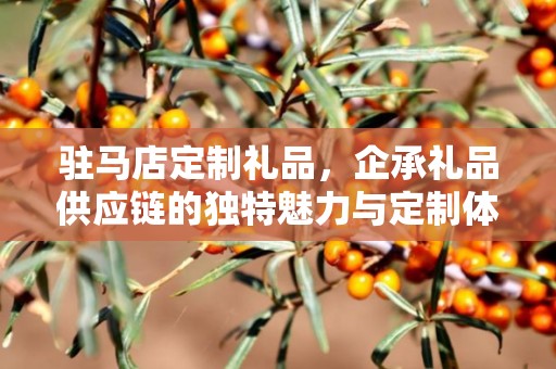 驻马店定制礼品，企承礼品供应链的独特魅力与定制体验